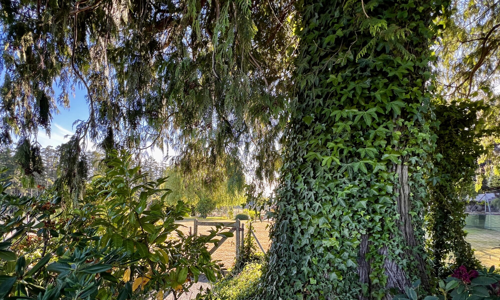 Lion’s Gate Gathering, August